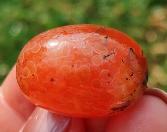 Incredibly Rare All Natural Stones of Glorious Gobi Desert.