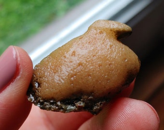 Incredibly Rare All Natural Stones of Glorious Gobi Desert.