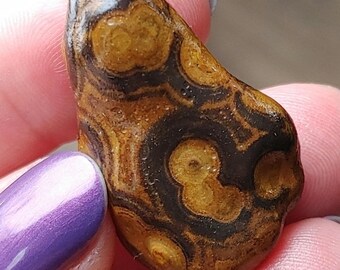 May include: A polished, natural stone with a unique pattern of brown and black swirls and circular shapes. The stone has a smooth, rounded shape and a warm, earthy color palette. The stone is held between two fingers.