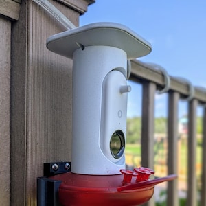 Soporte de pared para comedero de colibríes imagen 1