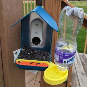 Water dish bird buddy