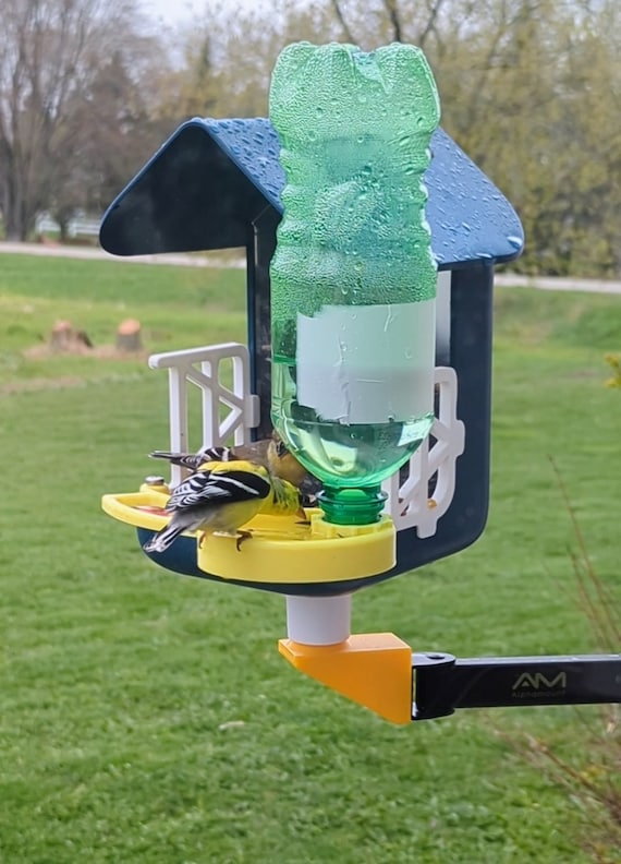 Bird Buddy : Suet Ball Holder