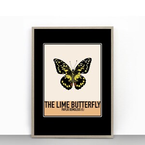 Lime Butterfly Retro Entomology Art Print