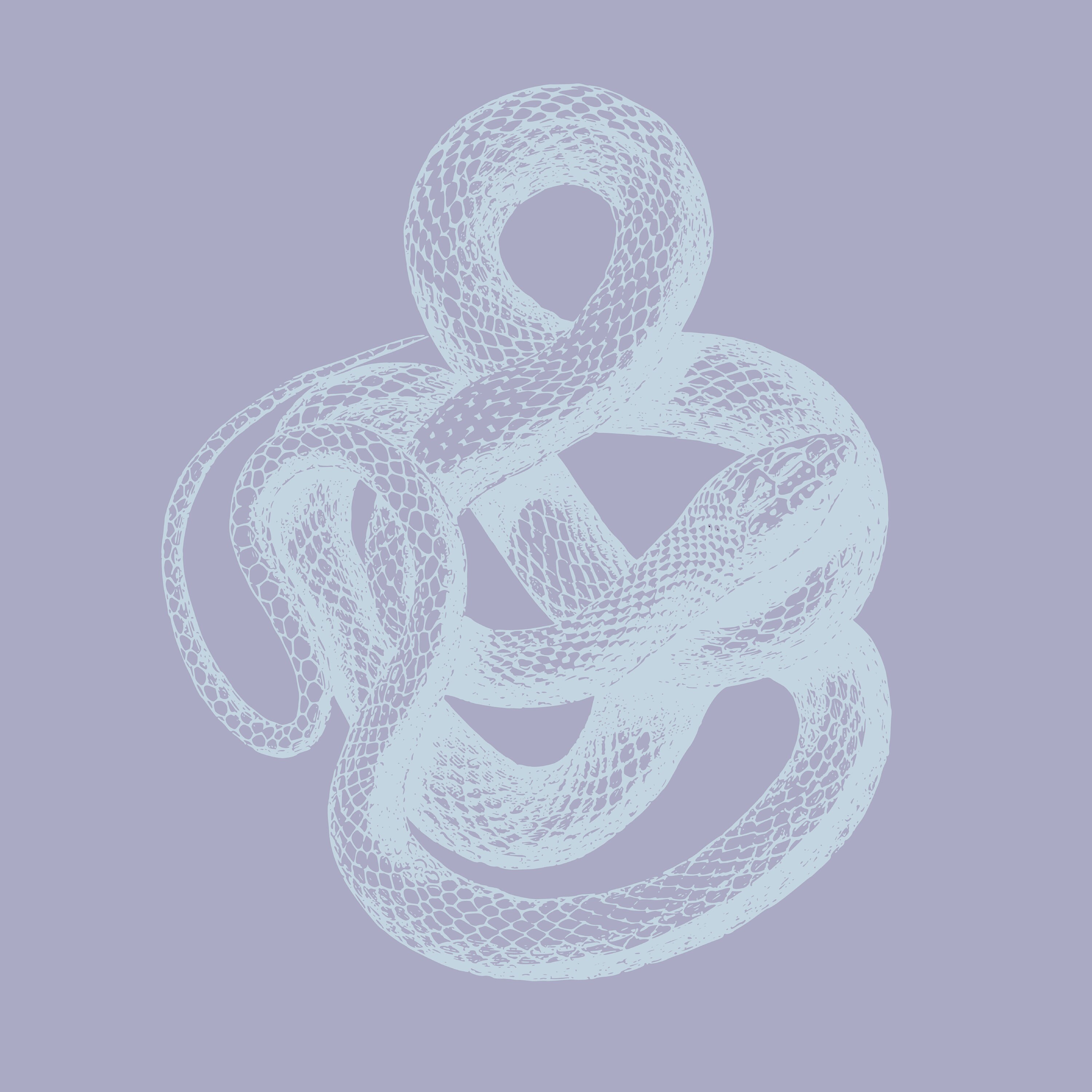 Tread Lightly Art Print Blau/Lila Schlangen Kunstdruck Etsy.de