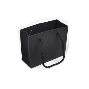 May include: A black paper gift bag with black rope handles.