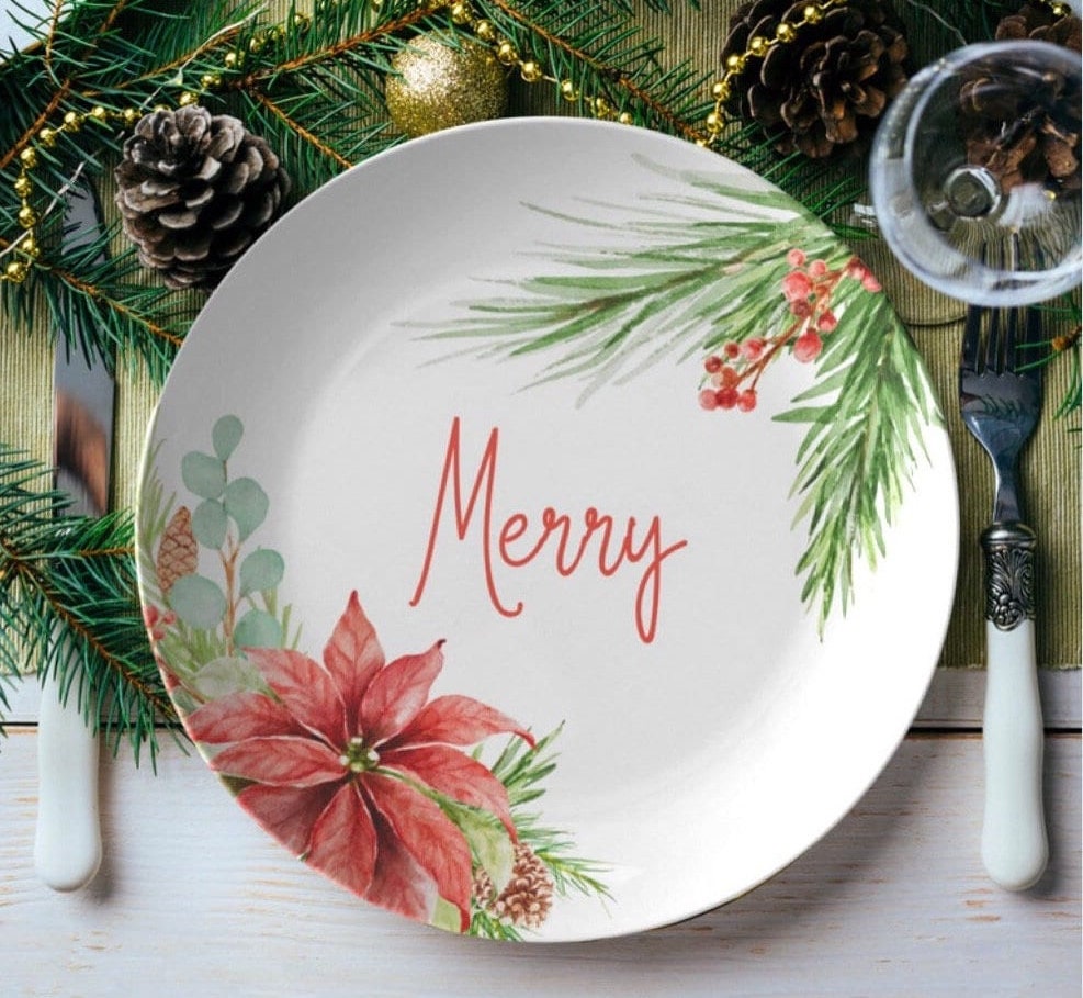 HTOOQ 50 assiettes en carton à dessert de Noël 17,8 cm au design élégant  poinsettia assiette de vacances jetable en rouge vert blanc et argent pour  vaisselle de Noël vaisselle fournitures de