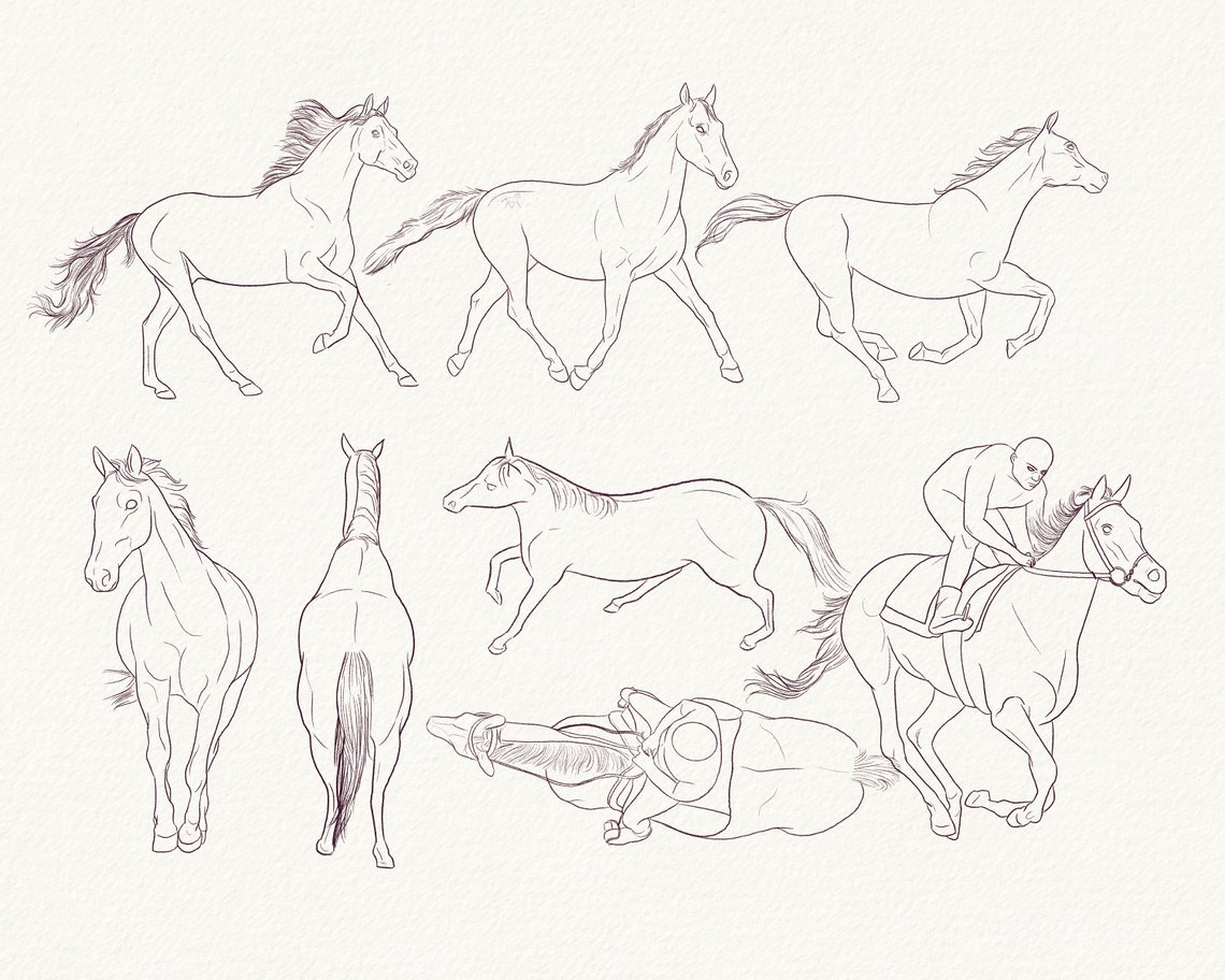 Horses Poses Brushes for Procreate Etsy