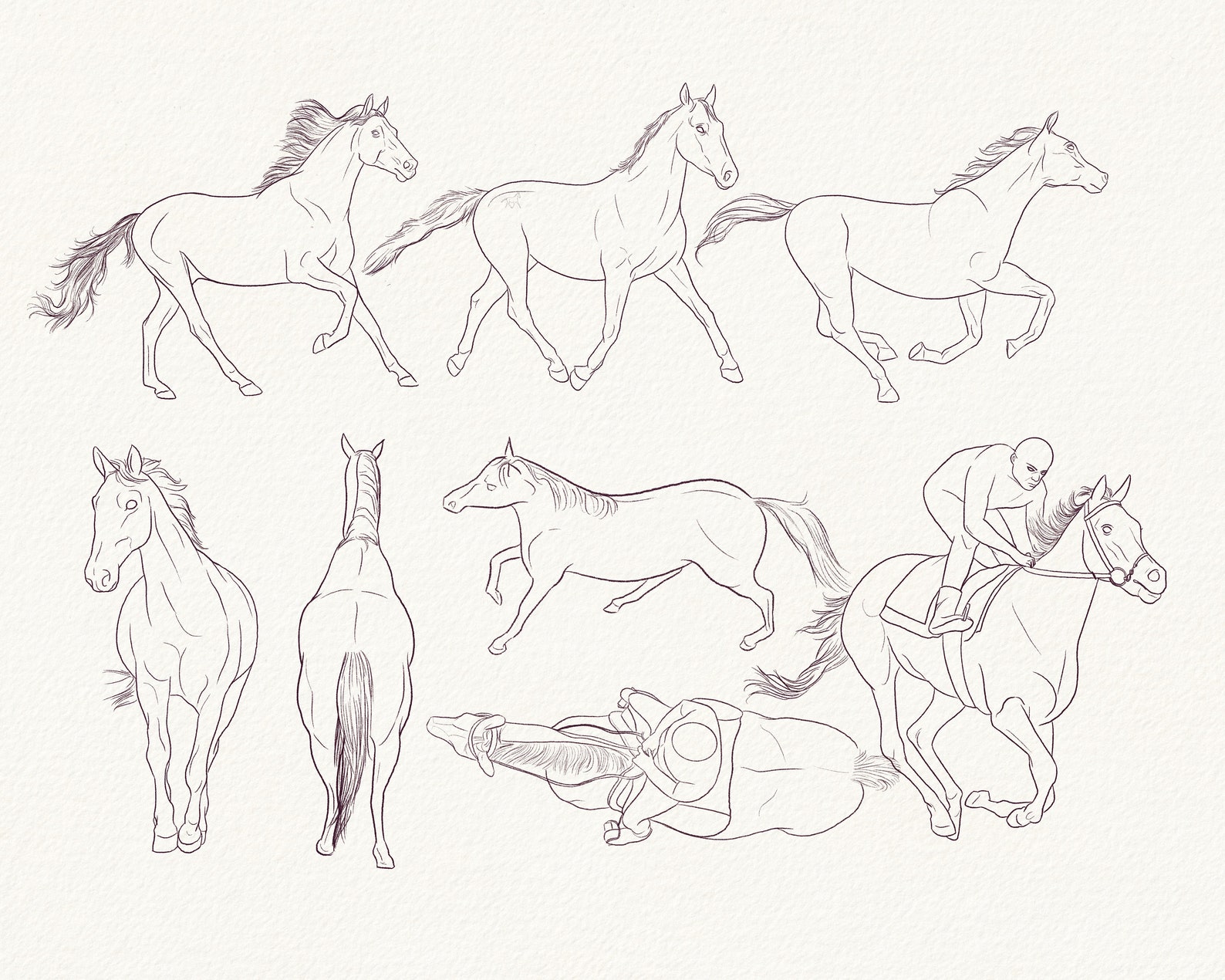 Horses Poses Brushes for Procreate Etsy