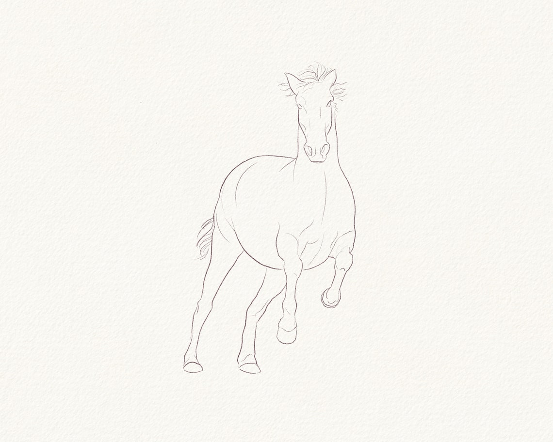 Horses Poses Brushes for Procreate Etsy
