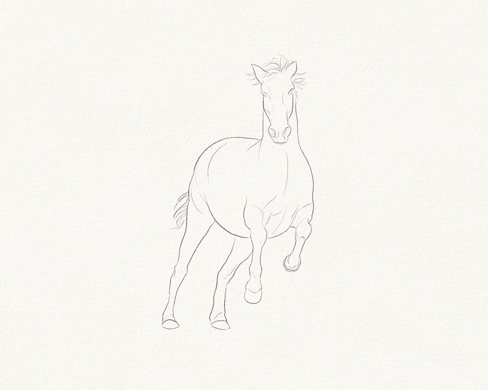 Horses Poses Brushes for Procreate Etsy