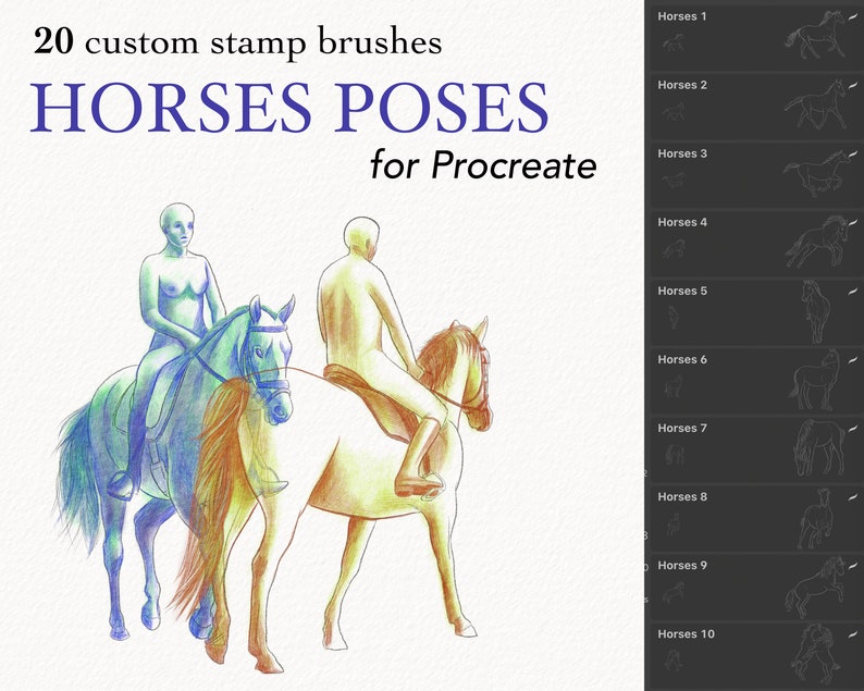 Horses Poses Brushes for Procreate Etsy