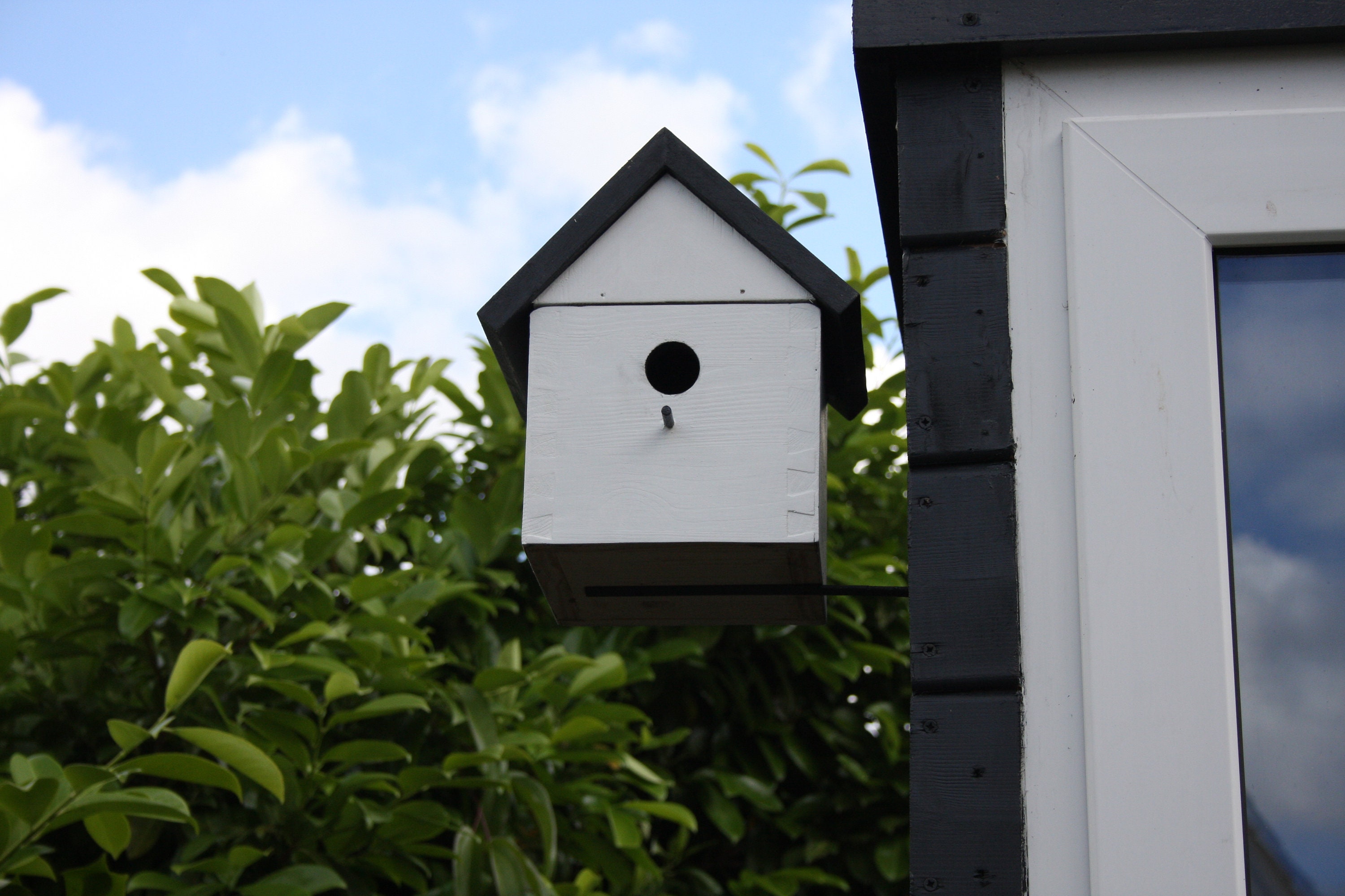 Dovetail Bird House Etsy