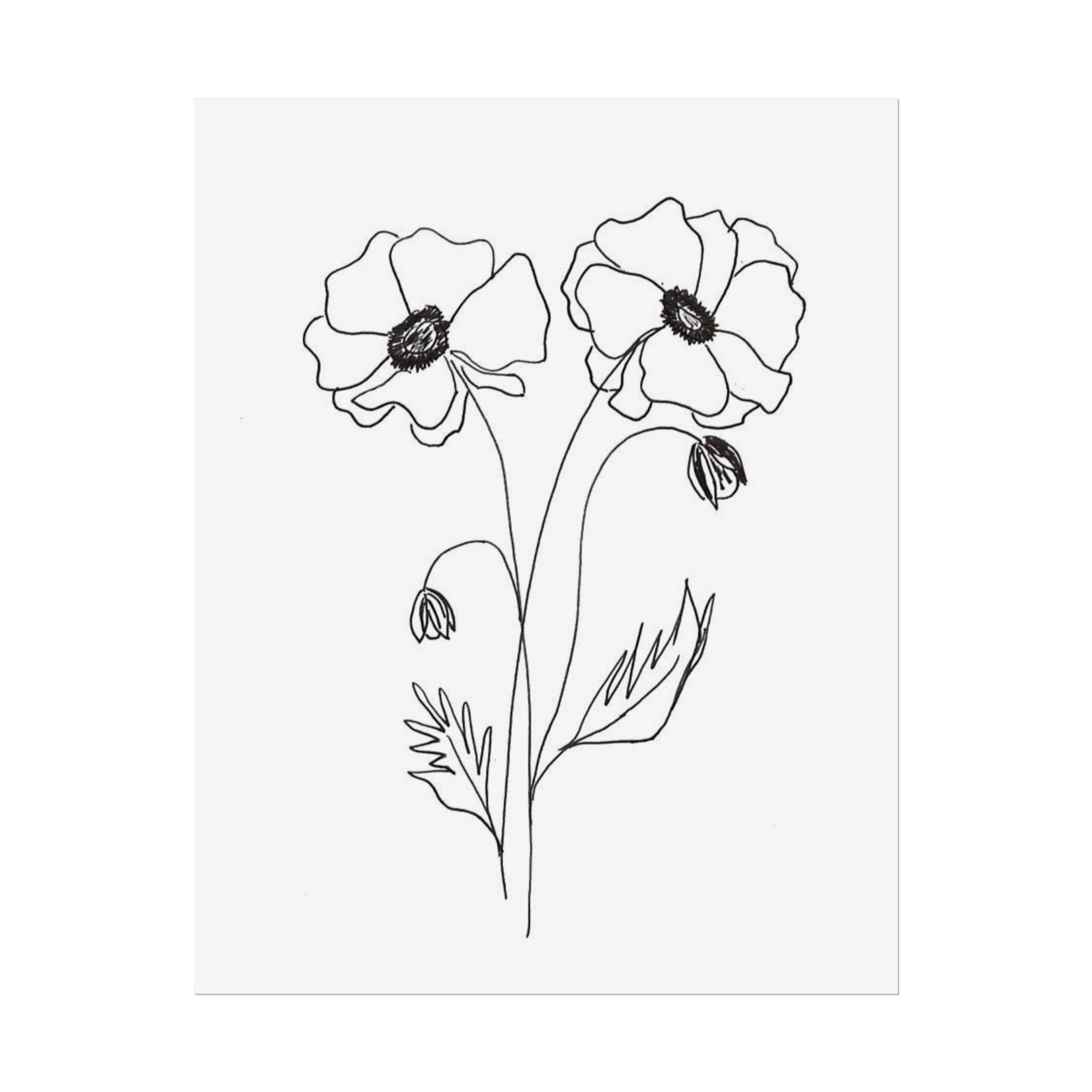 Hand Drawn, Floral, Poppy Flower, Rolled Poster, Minimal Wall Decor