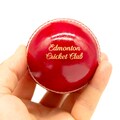 Personalised Leather Cricket Ball: Laser Engraved Gift