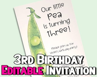 3rd Birthday Party Invitation - Third Birthday Invite - Editable & Printable Invitation - DIY birthday party - Editable Template Farm Theme