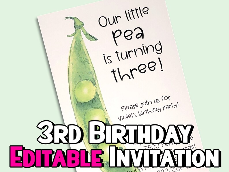 3rd Birthday Party Invitation  Third Birthday Invite  image 1