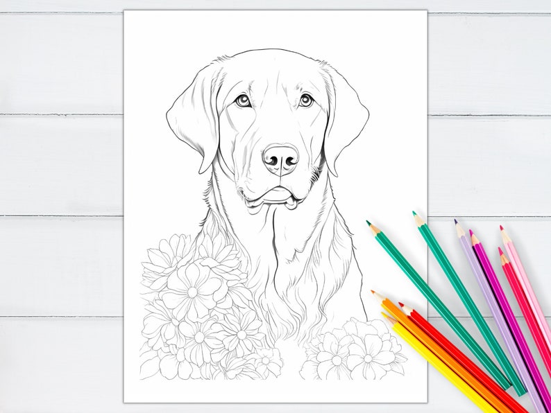 Golden Labrador Coloring Page for Adults Printable Golden Lab Etsy