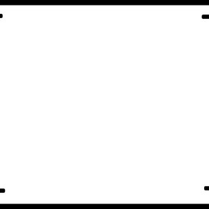 Professional License Plate, Custom License Plate, Travel Plate, Premium License Plate, DIY License Plate