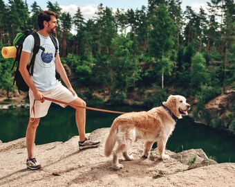 Be Brave, Organic Cotton, Tshirt Colour Pallett 2