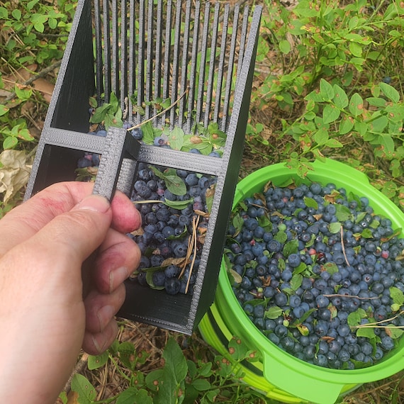 Blueberry Rake Berry Picker Currants Chokeberry Etsy
