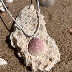 Shell Necklaces - One of a Kind - Sterling Silver - Sea - Beach - Boho