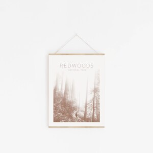 Redwoods National Park Art / National Park Minimalist Post / Fine Art