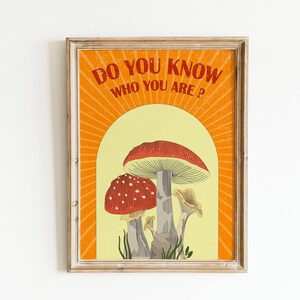 May include: Framed art print featuring a vintage-style illustration of mushrooms. The artwork includes the text "DO YOU KNOW WHO YOU ARE?" in orange, set against a yellow and orange background. The mushrooms are red and white, with gray stems.