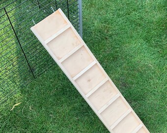 Rabbit Ramp - Etsy
