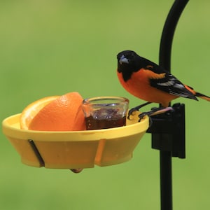 EZPerch Oriole Feeder