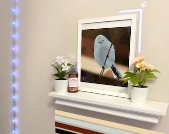 Bird digital artwork | digital illustration | shima enaga drawing | wall decor | room decor | wall hanging | wall art | prints | framed art