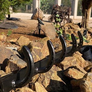 Horseshoe Hook Wall Hanger