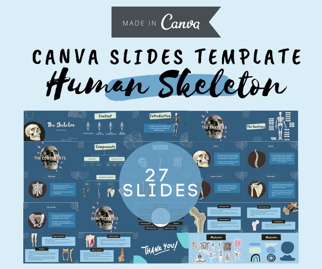Skeleton Slide Examples The Human Skeleton Slide Deck Templates Webinar Templates Slide ...