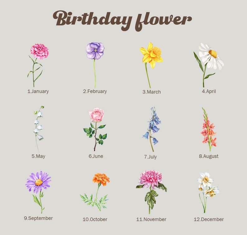 May include: A chart showing the birth flower for each month of the year. The flowers are illustrated in watercolour style. January: Carnation, February: Violet, March: Daffodil, April: Daisy, May: Lily of the Valley, June: Rose, July: Bluebell, August: Gladiolus, September: Aster, October: Marigold, November: Chrysanthemum, December: Narcissus.