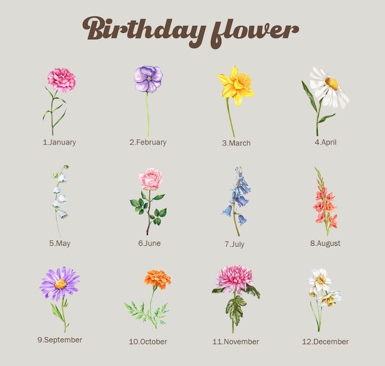 K&ouml;nnte beinhalten: Eine Tabelle, die die Geburtsblume f&uuml;r jeden Monat des Jahres zeigt. Die Blumen sind im Aquarell-Stil illustriert. Januar: Nelke, Februar: Veilchen, M&auml;rz: Narzisse, April: G&auml;nsebl&uuml;mchen, Mai: Maigl&ouml;ckchen, Juni: Rose, Juli: Glockenblume, August: Gladiole, September: Aster, Oktober: Ringelblume, November: Chrysantheme, Dezember: Narzisse.