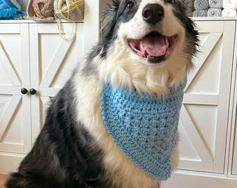 Blue Dog Bandana + Medium & Large Collar