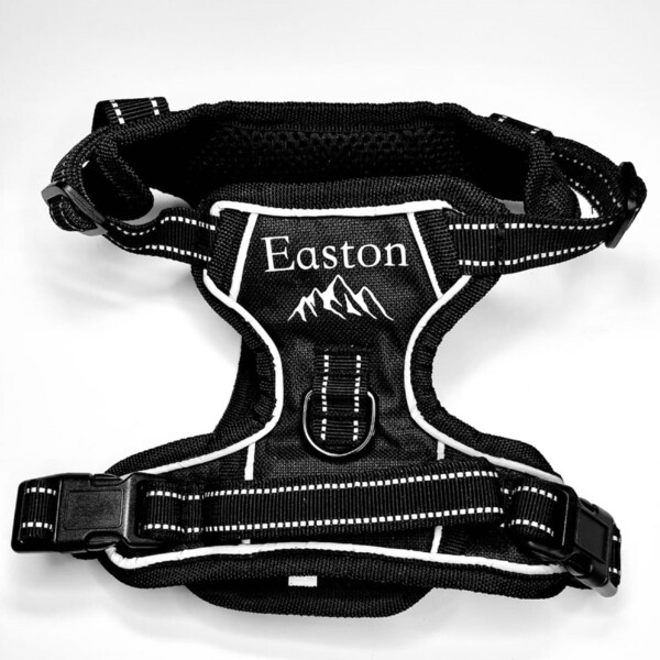 Teacup Dog Harness Etsy