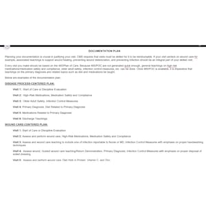Editable documentation plan template for organizing and planning patient care.