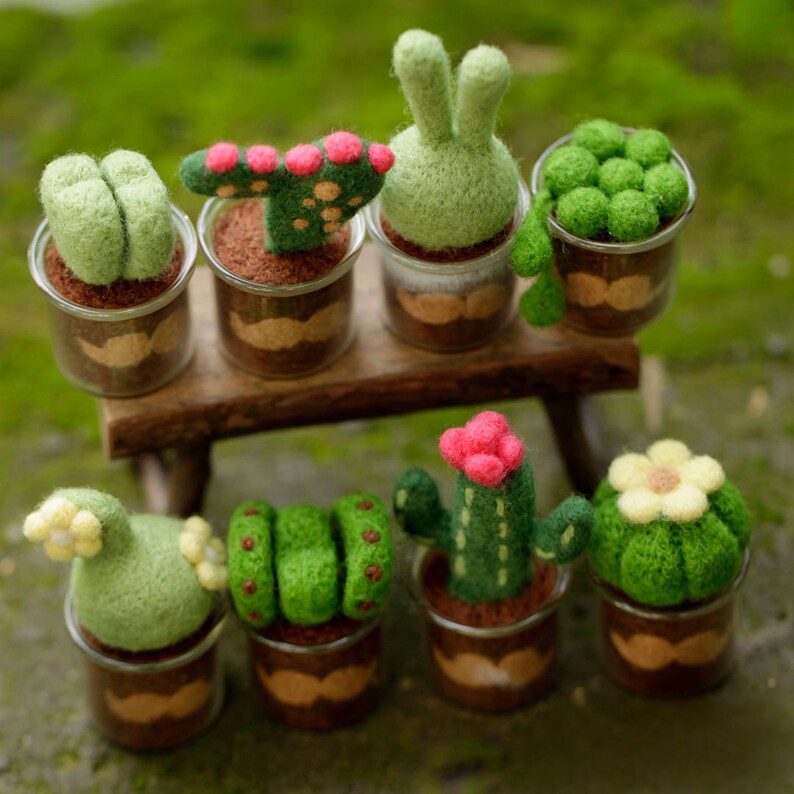 Stay Strong Succulents Potted Plants Beginner Friendly Etsy