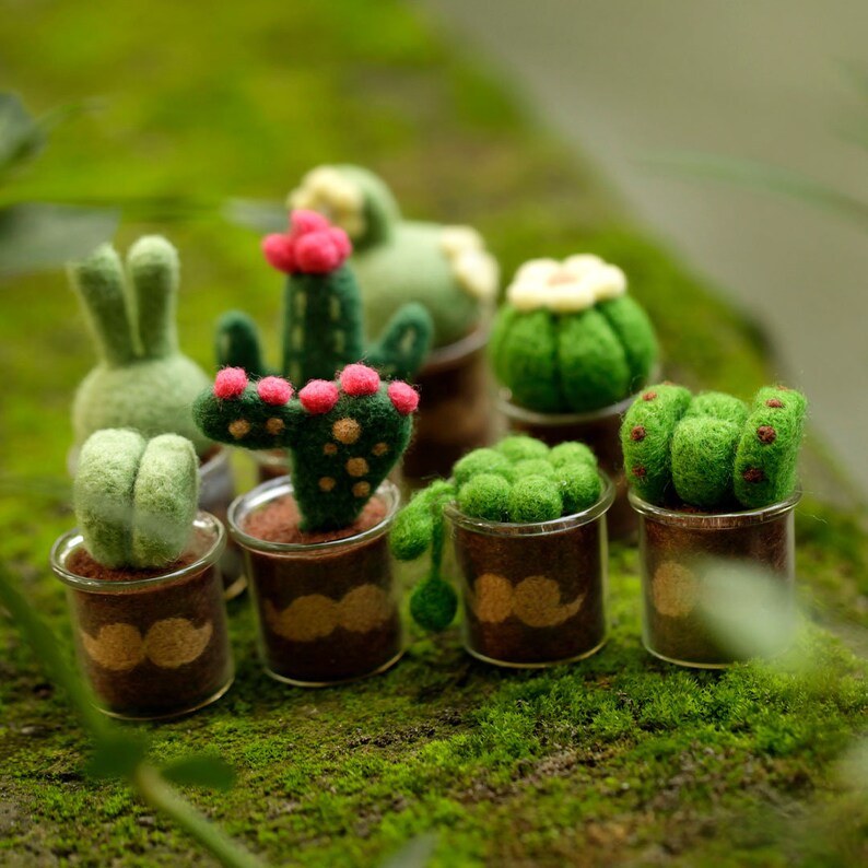 Stay Strong Succulents Potted Plants Beginner Friendly Etsy