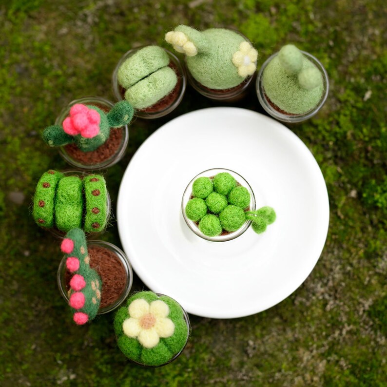 Stay Strong Succulents Potted Plants Beginner Friendly Etsy