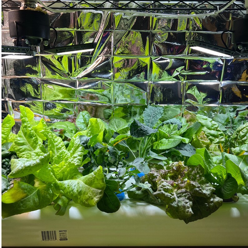 3x4 Vinyl Downspout X2 Kratky Hydroponic DIY Etsy