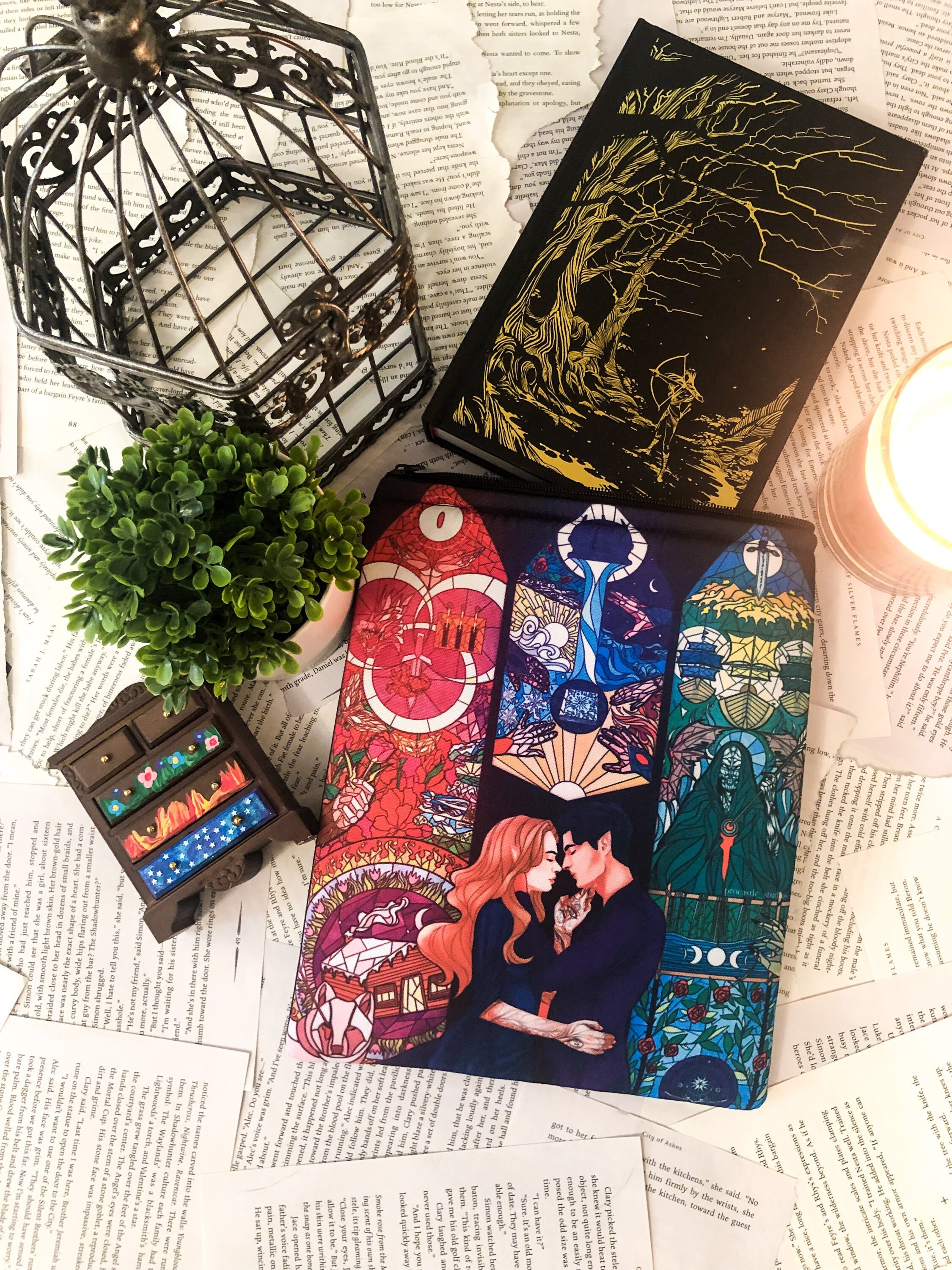 Feyre Archeron & Rhysand Limited Edition Book Sleeve with Zipper | A Court of Mist and Fury by Sarah J. Maas | Licensed