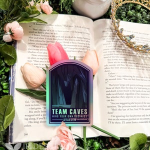 Puede incluir: Una pegatina holográfica con un esquema de color azul oscuro y morado. La pegatina presenta la silueta de una persona con capucha y el texto "Team Caves Mind Your Own Business - Avallen".