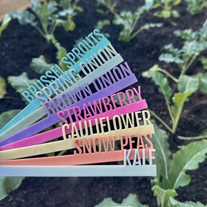 May include: A selection of colourful plant markers for the garden, each labelled with a different vegetable name. The markers are in shades of blue, purple, pink, and peach, with white lettering. Vegetables include Brussel Sprouts, Spring Onion, Brown Onion, Strawberry, Cauliflower, Snow Peas, and Kale.