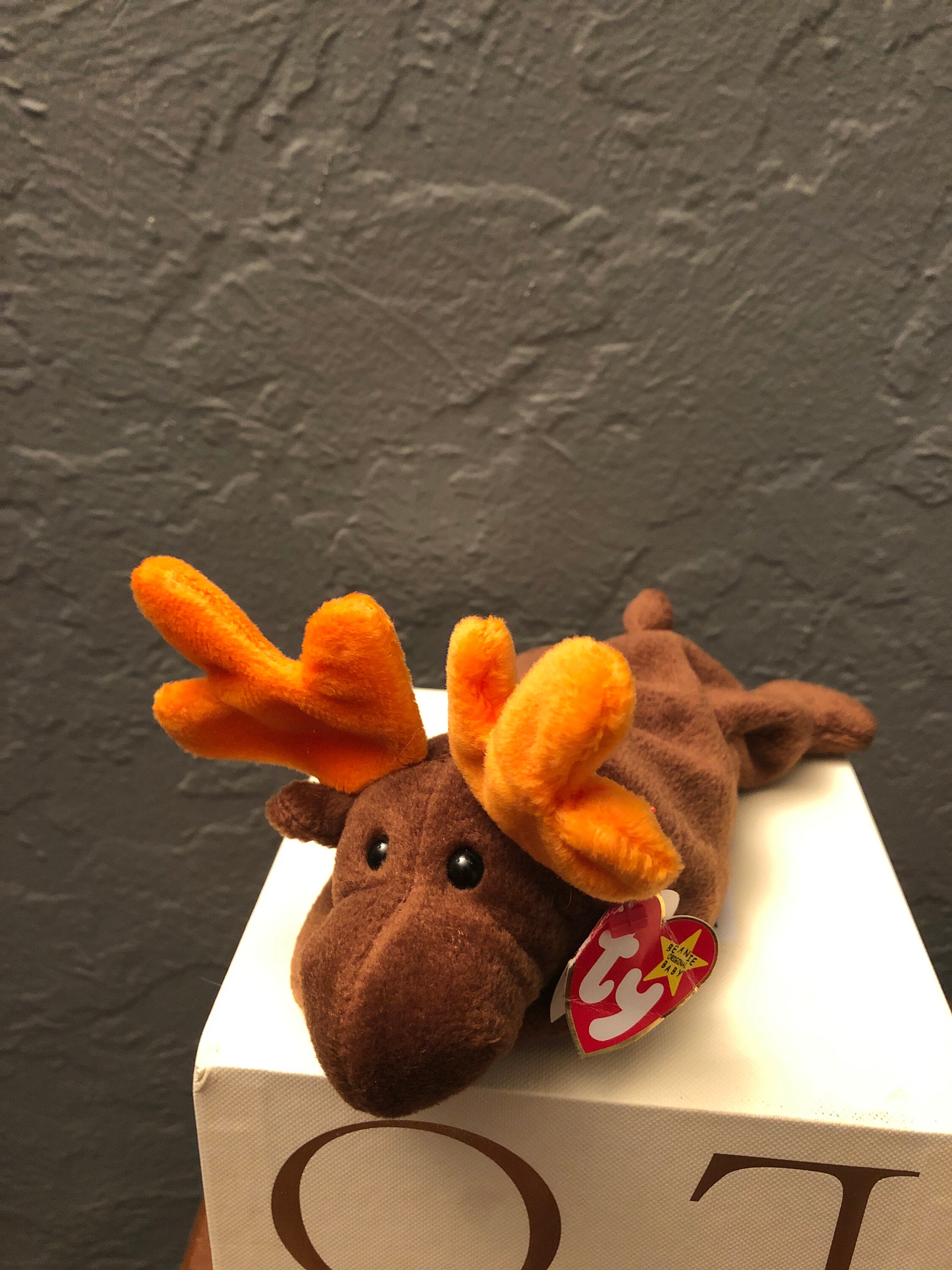 Rare and valuable Chocolate Moose Beanie Baby April 271993 | Etsy