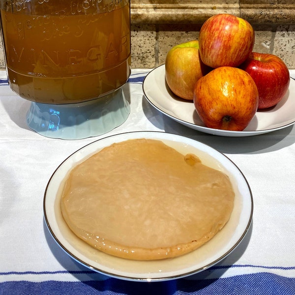 Apple Cider Vinegar Mother | Mother Of Vinegar | Vinegar Starter | ACV | SCOBY | Natural | Probiotic | Make Your Own Vinegar