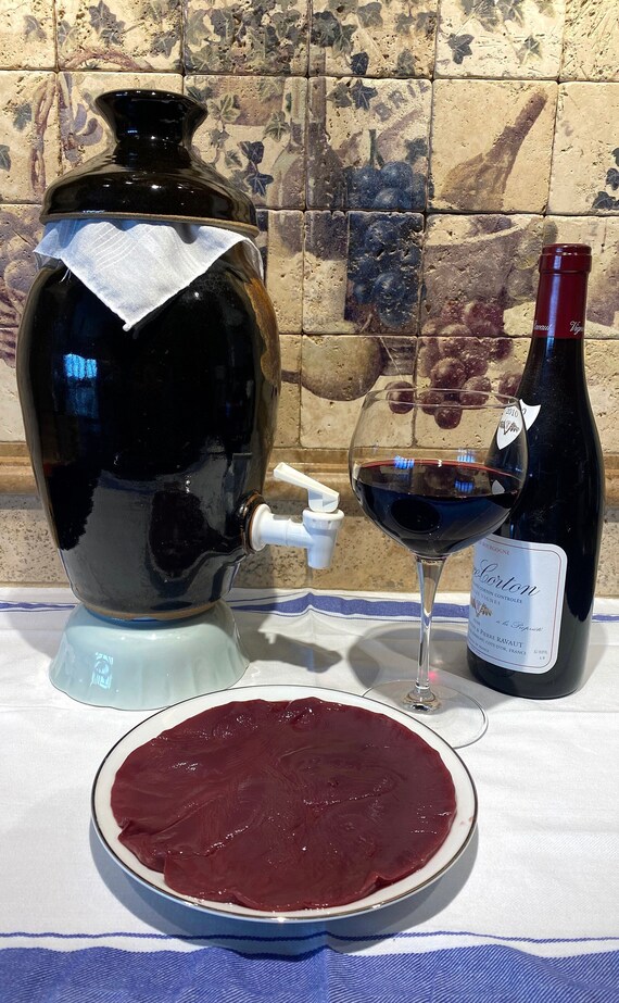 Red Wine Vinegar Mother Mother of Vinegar Vinegar Starter Etsy