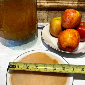 May include: A close-up of a round, light brown kombucha SCOBY in a white ceramic dish with a gold rim. A yellow measuring tape is placed across the top of the dish. The SCOBY is about 7 inches in diameter.