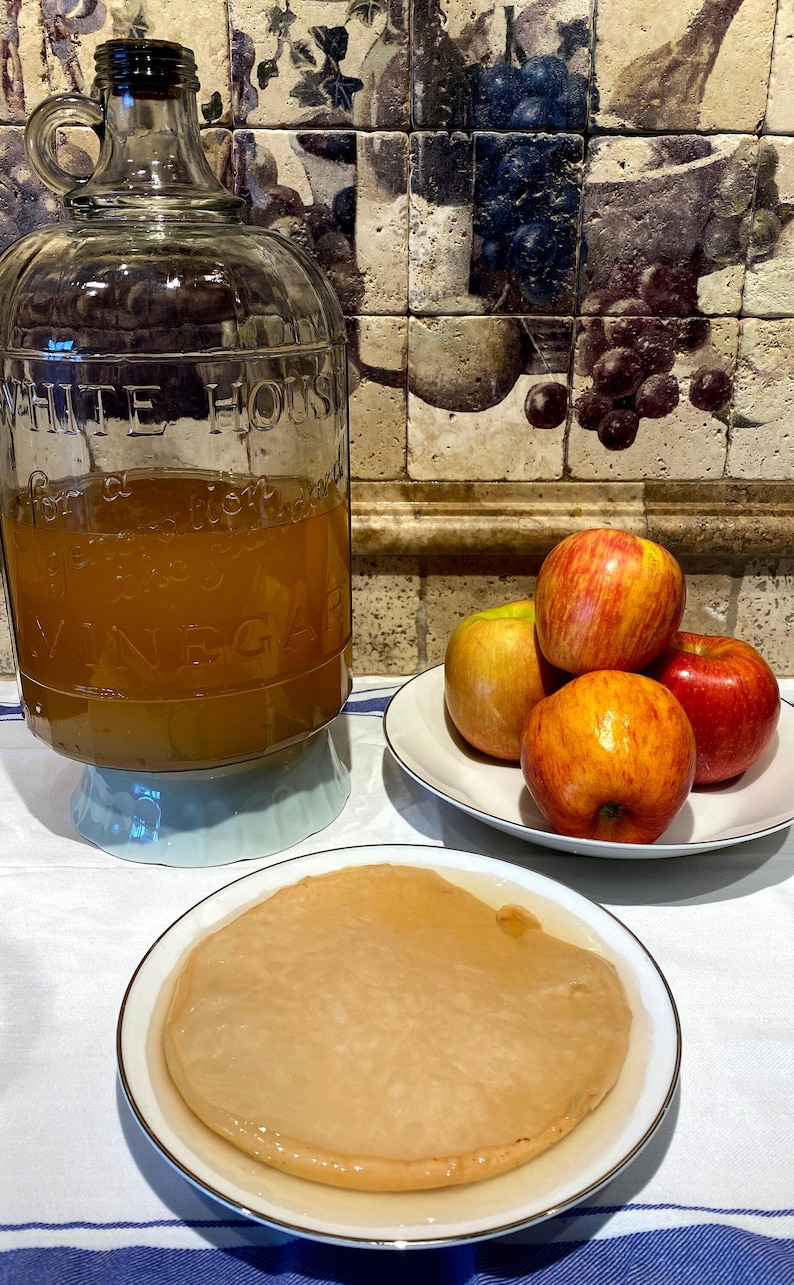 Apple Cider Vinegar Mother Mother of Vinegar Vinegar Starter ACV SCOBY