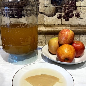 May include: A clear glass jar with a blue base filled with a light brown liquid. The jar is labeled "White House Vinegar". A white plate with four red apples on it. A white plate with a light brown, thin, flat, disc-shaped object in a clear liquid.